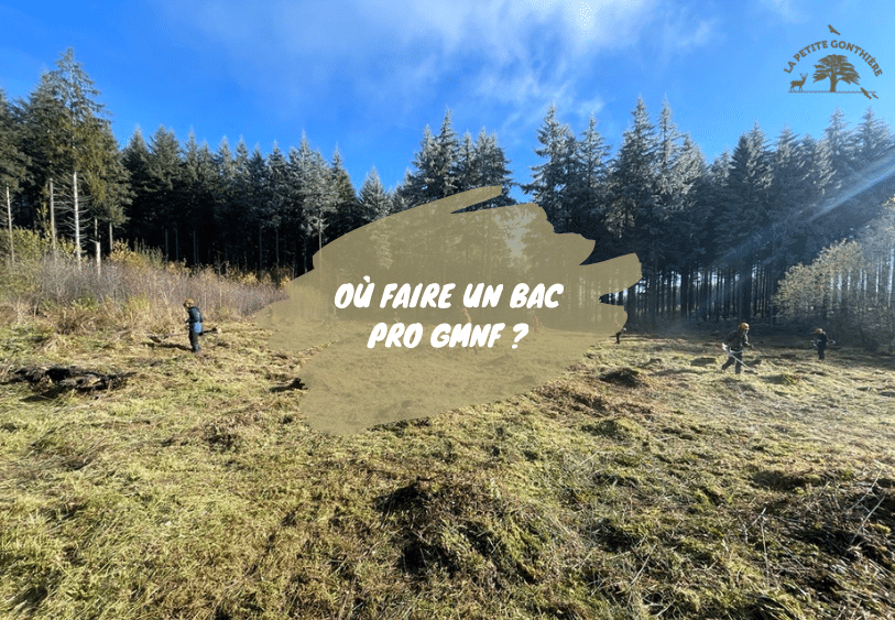 ou faire bac pro gmnf