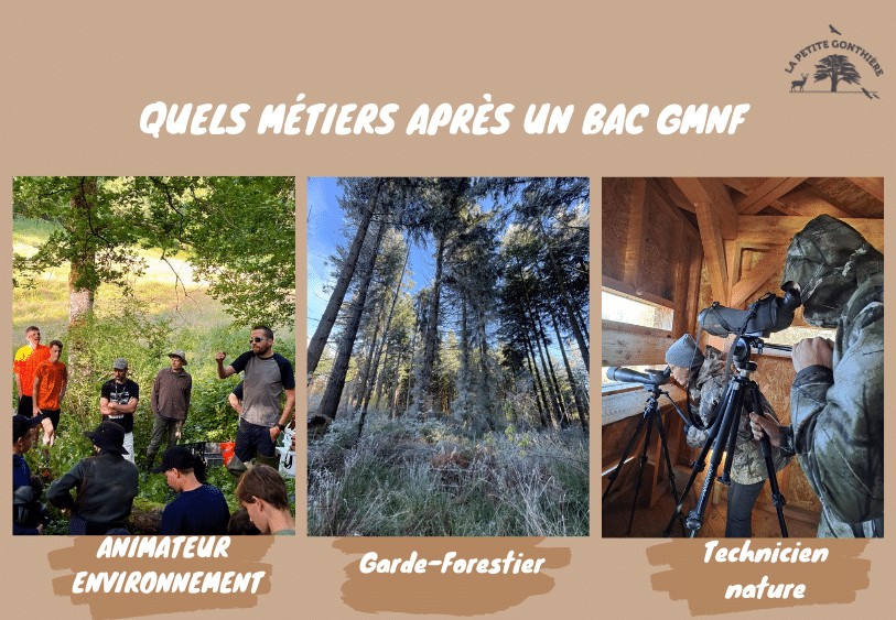 quel metiers bac pro gmnf