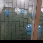 sortie 04 bubblefoot