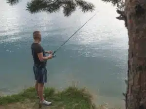 La vie naturaliste