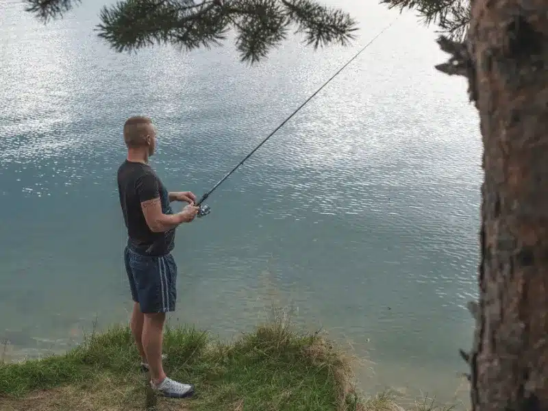La vie naturaliste