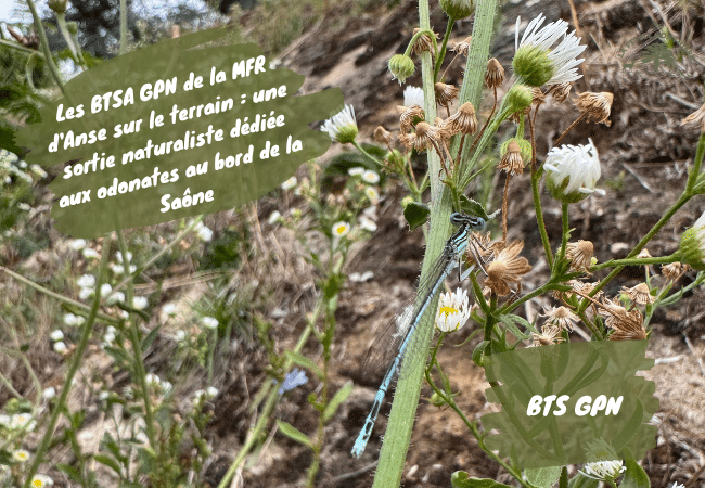 00 bts gpn mfr petite gonthiere sortie nature 2026