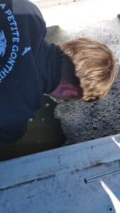 05 lacher truites bacpro GMNF