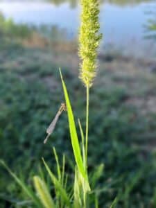 21 bts gpn mfr petite gonthiere sortie nature 2026
